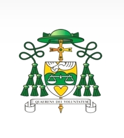Catholic Diocese of Enugu crest
